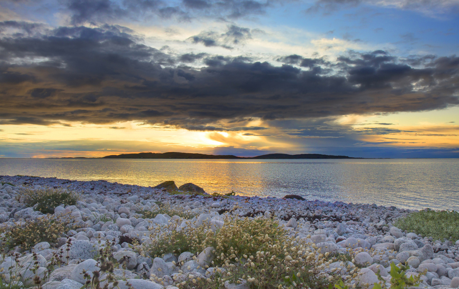 Ledige stillinger i Meløy
